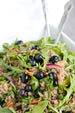 Blueberry Quinoa Salad with Blueberry Vinegar