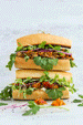 Pulled Pork Sandwich with Gourmet Thai Orange Ginger Relish
