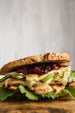 Grilled Chicken, Brie and Cranberry Sandwich | Wozz! Kitchen Creations